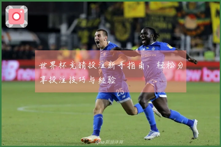 世界杯竞猜投注新手指南，轻松分享投注技巧与经验