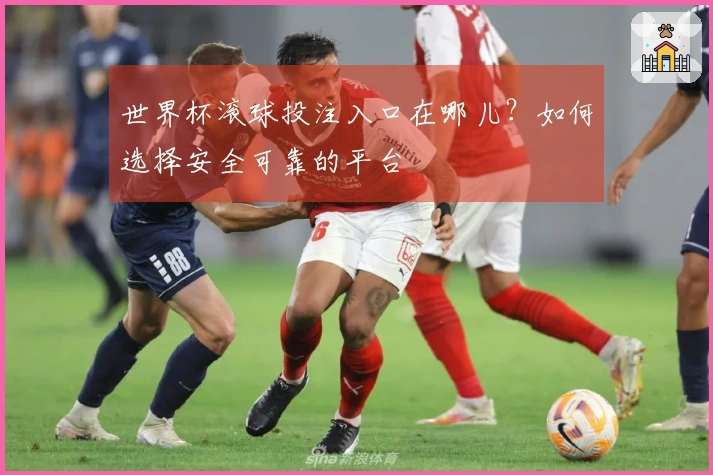 世界杯滚球投注入口在哪儿？如何选择安全可靠的平台