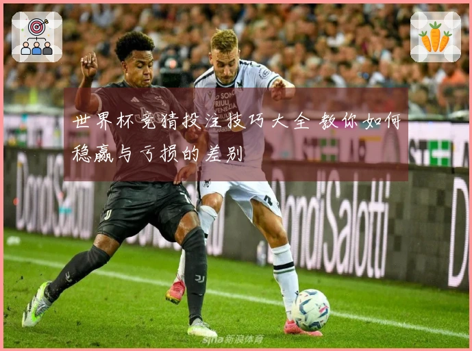 世界杯竞猜投注技巧大全 教你如何稳赢与亏损的差别