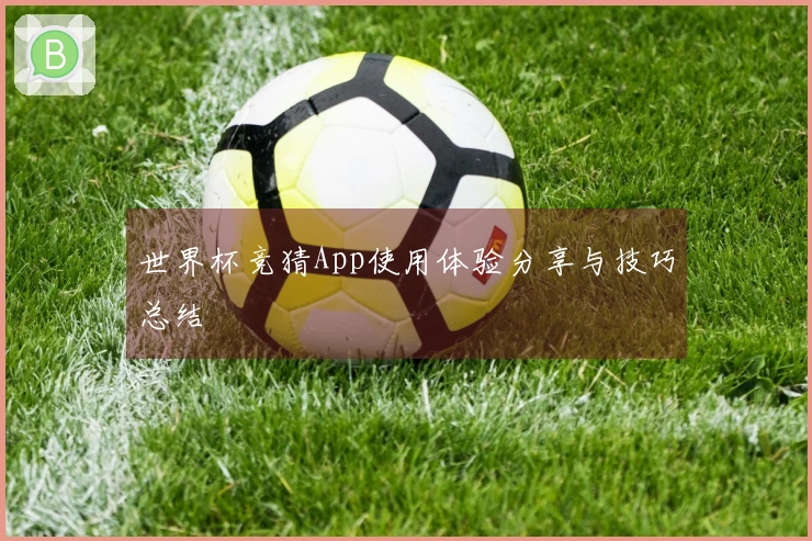世界杯竞猜App使用体验分享与技巧总结