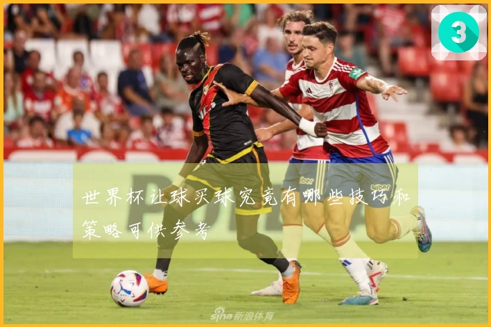 世界杯让球买球究竟有哪些技巧和策略可供参考