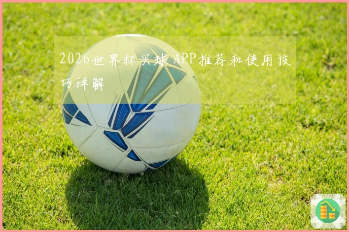 2026世界杯买球 APP推荐和使用技巧详解