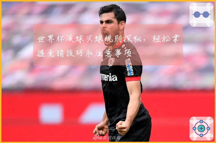 世界杯滚球买球规则探秘，轻松掌握竞猜技巧和注意事项