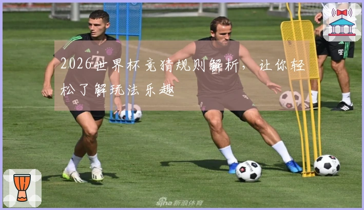 2026世界杯竞猜规则解析，让你轻松了解玩法乐趣