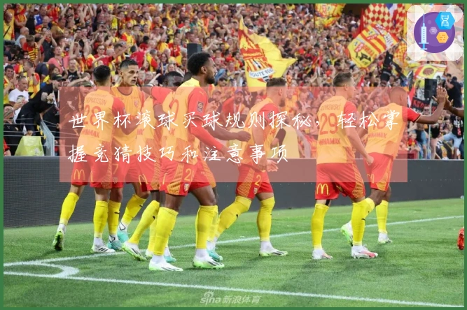 世界杯滚球买球规则探秘，轻松掌握竞猜技巧和注意事项