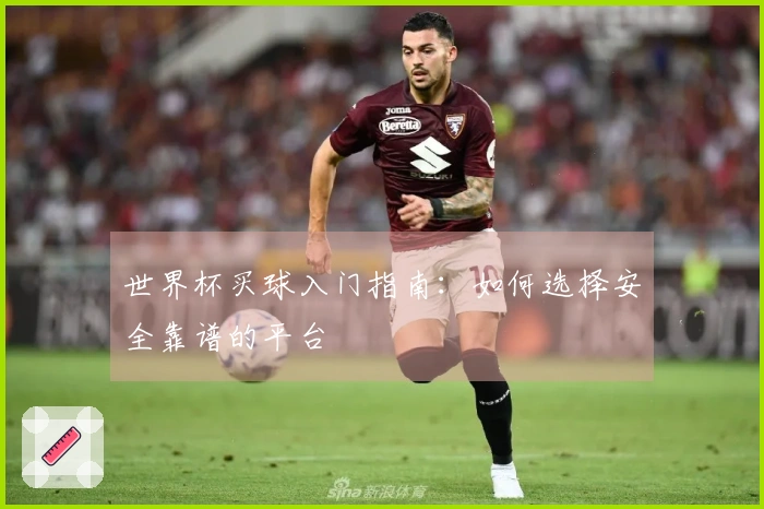 世界杯买球入门指南：如何选择安全靠谱的平台